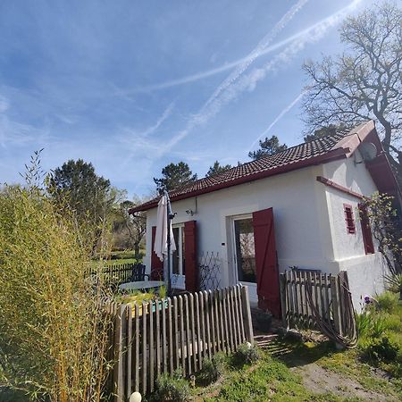 D&D, La Maison Des Ecureuils Lesperon  Exteriör bild